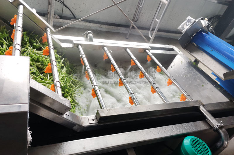 氣泡清洗機在脫水蔬菜生產(chǎn)中的應用案例