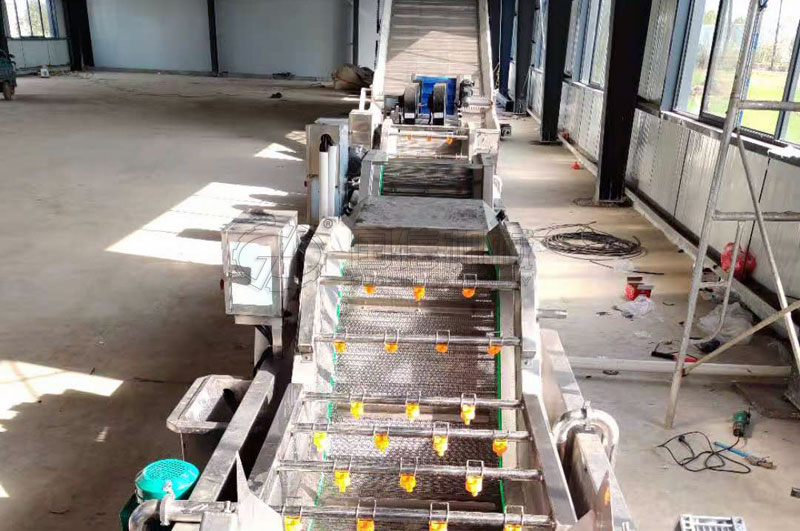 氣泡清洗機在脫水蔬菜生產(chǎn)中的應用案例