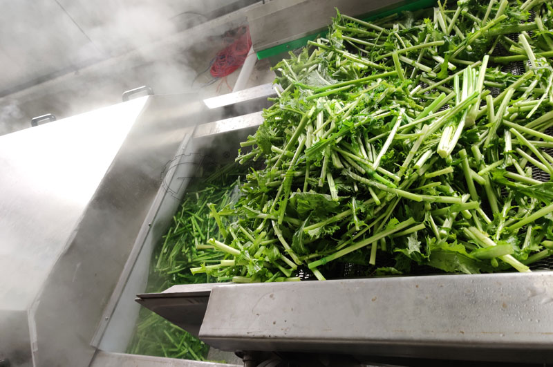 不銹鋼制作的漂燙蒸煮機，四周雙層保溫